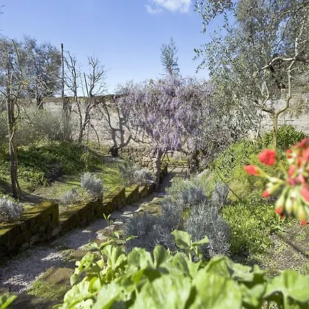 Bed & Breakfast Lidia Sorrento