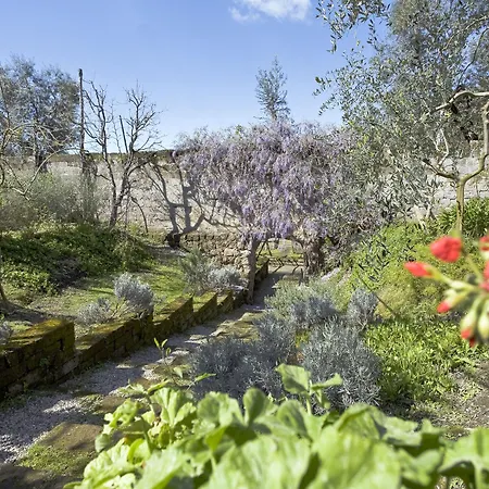 Bed & Breakfast Lidia