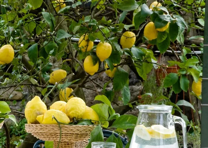 Lidia Bed and Breakfast Σορέντο