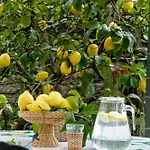 Lidia Bed & Breakfast Sorrento