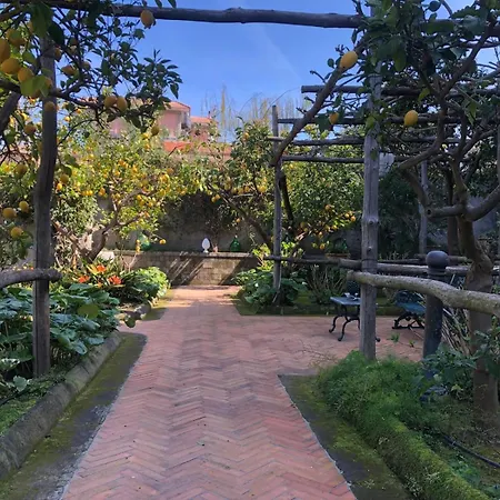 Lidia Nocleg ze śniadaniem 4*