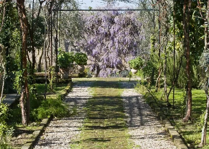 Lidia Отель типа 