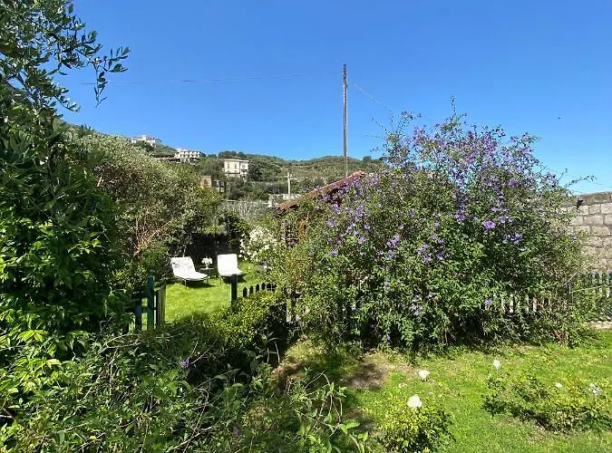 Lidia Отель типа 